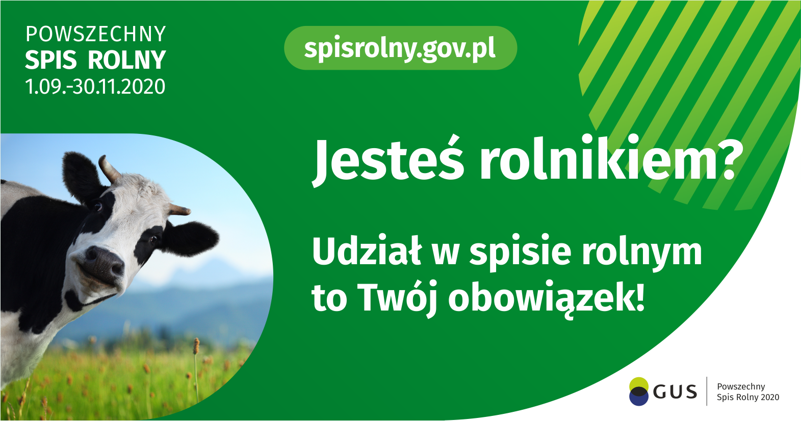 grafika promująca PSR